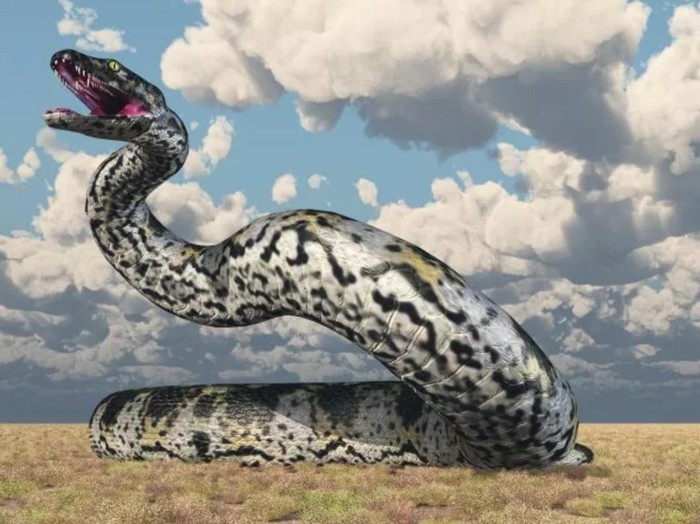 Titanoboa