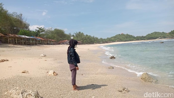 Ubur-ubur mulai muncul di Pantai Watukarang Pacitan
