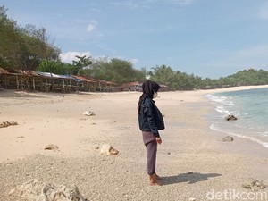 Ubur-ubur Mulai Muncul di Perairan Pacitan