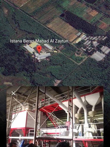 Al Zaytun