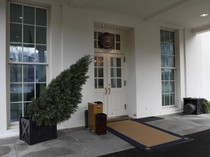 FBI Akan Selidiki Lagi Temuan Kokain di Gedung Putih Era Biden