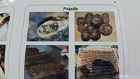 Ini adalah wujud propolis. Propolis merupakan resin atau getah lengket yang berasal dari batang pohon atau kulit kayu, dikumpulkan dan diproses dengan sekresi cairan ludah lebah. Propolis ini juga kaya akan antioksidan. Foto: (Nograhany WK/detikcom)