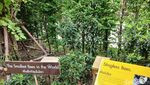 Foto: Belajar tentang Lebah dan Madu di Big Bee Farm Thailand