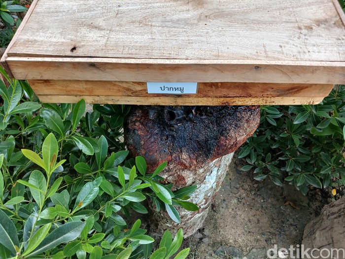 Big Bee Farm Bangkok Thailand