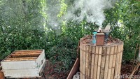Kenapa harus diasapi? Menurut Mery, staf dari Big Bee Farm Thailand, agar lebah-lebah itu lebih kalem dan tidak agresif. Foto: (Nograhany WK/detikcom)