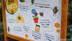 Foto: Belajar tentang Lebah dan Madu di Big Bee Farm Thailand