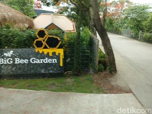 Foto: Belajar tentang Lebah dan Madu di Big Bee Farm Thailand