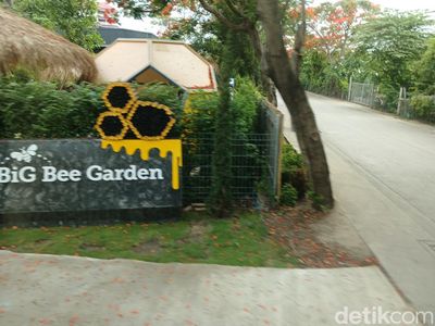 Foto: Belajar tentang Lebah dan Madu di Big Bee Farm Thailand