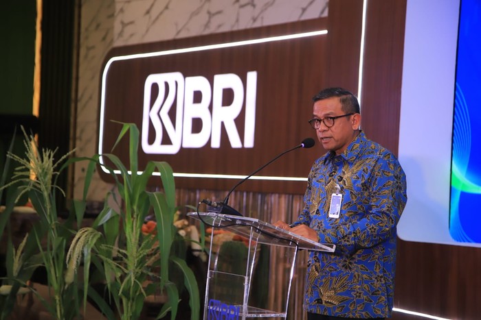 Direktur Bisnis Wholesale dan Kelembagaan BRI Agus Noorsanto