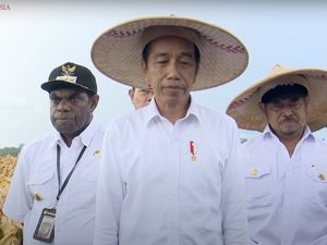 Tinjau Food Estate Keroom, Jokowi: yang Jelek Jangan Ditutupi