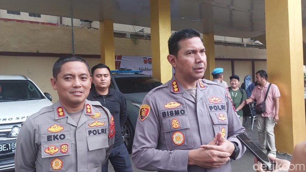 Panties ostidan tukli mushuk, it uslubi, yaqindan