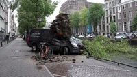 Sejumlah pohon tumbang setelah diterjang badai yang terjadi di Amsterdam.  