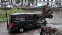Tampak pohon tersebut tercabut hingga ke akarnya.  