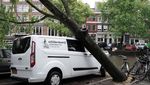 Mobil-mobil Ini Jadi Korban Pohon Tumbang di Amsterdam