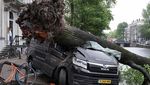 Mobil-mobil Ini Jadi Korban Pohon Tumbang di Amsterdam