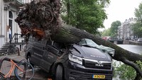 Sebuah mobil van ringsek setelah tertimpa pohon di Amsterdam, Belanda 5 Juli 2023.  