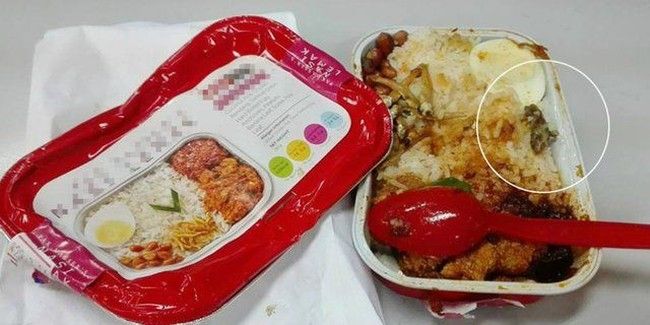 Penemuan Cicak di Nasi Lemak hingga Sambal Pecel Ayam Ini Bikin Mual