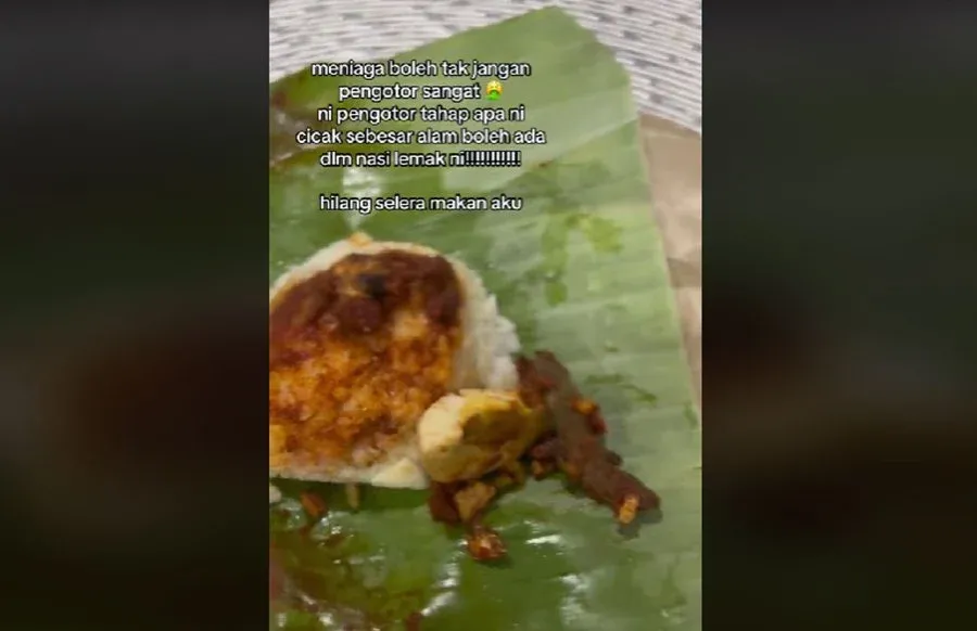 Penemuan Cicak di Nasi Lemak hingga Sambal Pecel Ayam Ini Bikin Mual