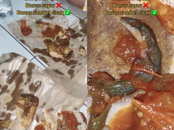 Penemuan Cicak di Nasi Lemak hingga Sambal Pecel Ayam Ini Bikin Mual