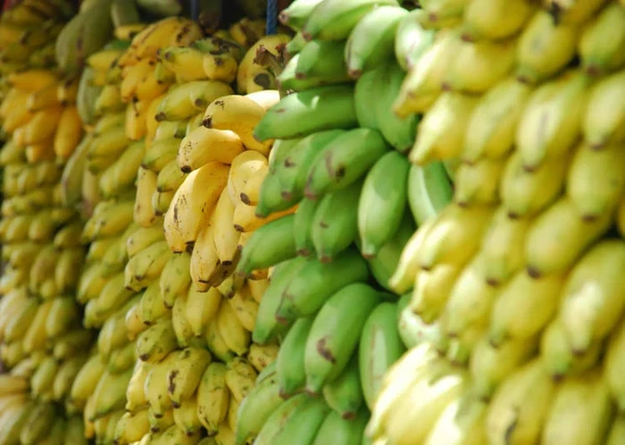 Pisang Super Ciptaan Ilmuwan Ini Diklaim Bisa Selamatkan Jutaan Nyawa