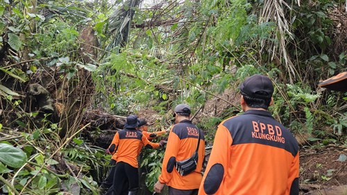 Penanganan pohon tumbang menimpa tempat suci di Banjar Lebah, Semarapura Kangin, Klungkung, Kamis (6/7/2023).