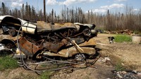 Mobil-mobil itu hangus karena tak sempat dievakuasi oleh pemiliknya. AP Photo/Noah Berger.