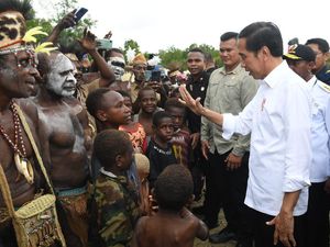 Jokowi: Food Estate Keroom Hasilkan 7 Ton Jagung per Ha, Petani Untung Rp 42 Juta