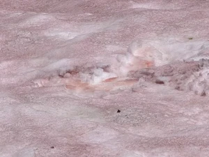 Ada Fenomena Salju Pink di Pegunungan Ini, Berbahayakah?