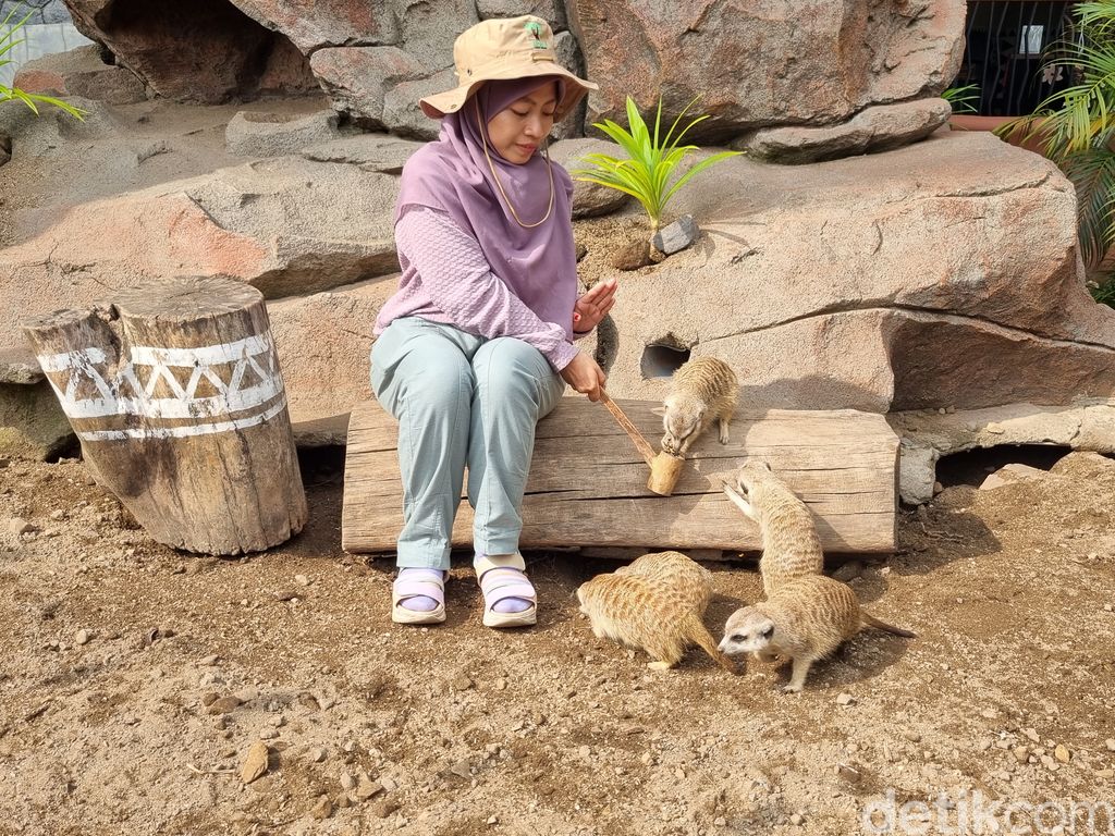 Taman Safari Pasuruan