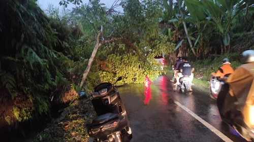 TRC BPBD Klungkung mengevakuasi pohon tumbang di Banjarangkan, Klungkung, Bali, Kamis (6/7/2023) dini hari. (Foto: Dok. BPBD Klungkung)