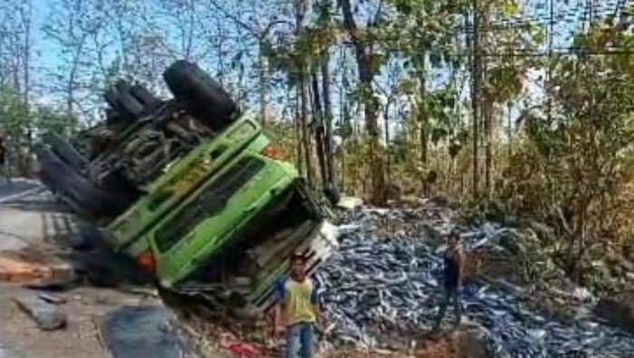 truk muta ikan pindang terguling di hutan baluran situbondo