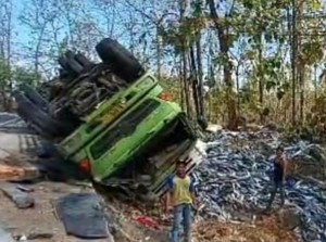 Truk Boks Muat Ikan 18 Ton Terguling di Hutan Baluran, Kerugian Rp 150 Juta