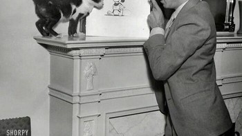 Walt Disney Menjelaskan Mickey Mouse Kepada Seekor Kucing Pada Tahun 1931 Foto: instagram.com/photos.from.history