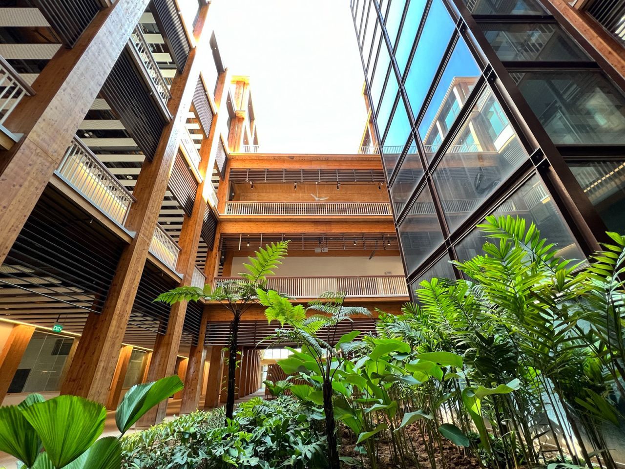Gedung Kayu Terbesar Asia, Gedung Kampus NTU