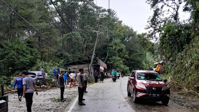 Sebuah pohon tumbang menimpa tiang listrik PLN di Kolaka Timur, Sulawesi Tenggara (Sultra) gegara cuaca ekstrem.