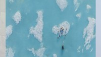Fotografer berfungsi sebagai pengingat tragis akibat konflik manusia-hewan. Fenomena itu meningkat akibat hilangnya habitat akibat aktivitas manusia, seperti pertanian dan pembangunan. Ini karya Dustin Patar.