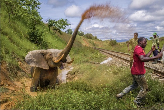 Kompetisi fotografi Prince Albert II of Monaco Foundation's Environmental Photography Award Kompetisi fotografi Prince Albert II of Monaco Foundation's Environmental Photography Award