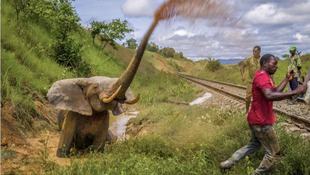 Kompetisi fotografi Prince Albert II of Monaco Foundation's Environmental Photography Award