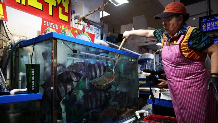 An official measures radiation levels of scallops imported from Japan as they conduct a radioactivity check, which have been conducted regularly since the 2011 Fukushima disaster, at Noryangjin fisheries wholesale market in Seoul, South Korea, July 6, 2023.  REUTERS/Kim Hong-Ji