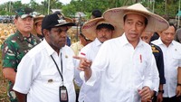 Presiden Jokowi didampingi Bupati Keerom Piter Gusbager meninjau ladang jagung di kawasan food estate di Kabupaten Keerom, Papua.