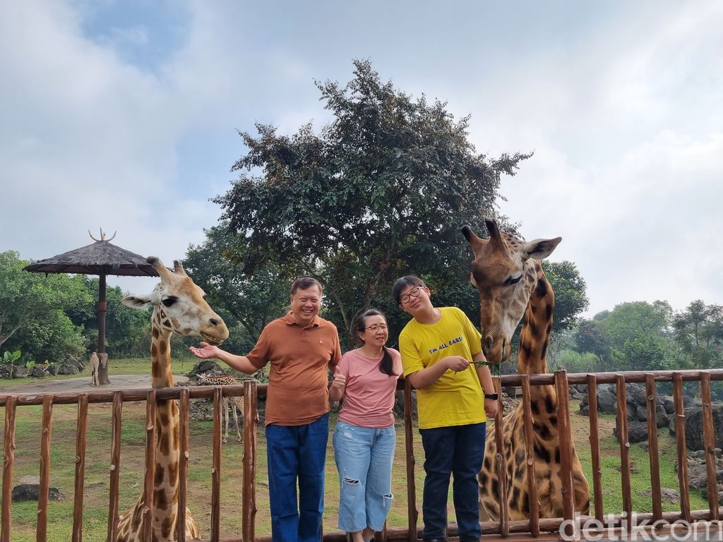 Nikmatnya sarapan ditemani jerapah di Baobab Safari Resort Prigen Pasuruan