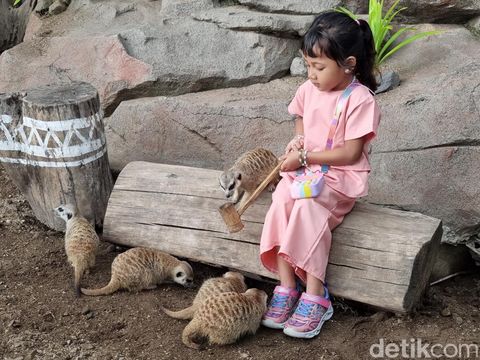 Nikmatnya sarapan ditemani jerapah di Baobab Safari Resort Prigen Pasuruan