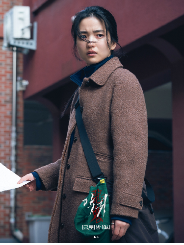 Pemain Drama Korea Revenant