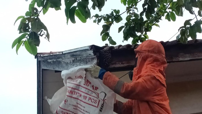 Petugas damkar saat menangani sarang tawon.