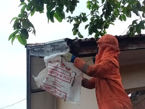Sagala Bisa Ala Petugas Damkar Kota Cimahi