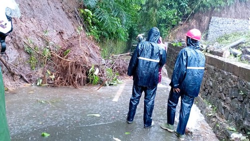 Pohon tumbang di Kecamatan Abiansemal, Badung, Jumat (7/7/2023). Pohon tumbang mengakibatkan akses utama warga 
Desa Taman menuju Desa Sangeh, Punggul, Bongkasa dan Selat, tertutup.