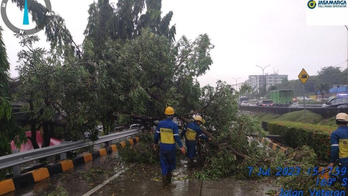 Pohon tumbang tutupi jalan di Exit Tol JORR Tanah Kusir