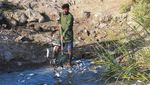 Ribuan Ikan Mati Misterius di Sungai Irak