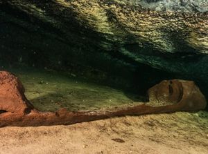 Sampan Suku Maya Berusia 1.000 Tahun Ungkap Gerbang ke Alam Lain
