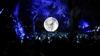 Orang-orang mengunjungi pameran Secret Garden di Carlos Thays Botanical Garden di Buenos Aires, Argentina, Kamis (6/7/2023).